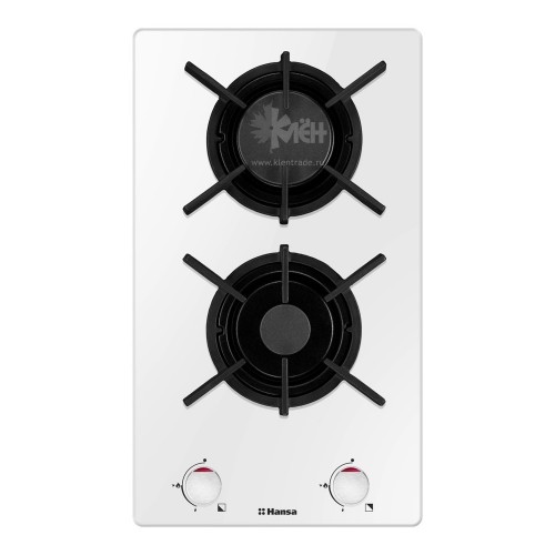 В/поверхность газовая HANSA BHKW 330500