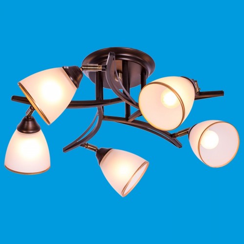 53722/5WENGE WT Потолочные споты