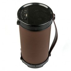 Портативная акустическая система ДИАЛОГ Progressive AP-1000 Bl/USBreader 16W