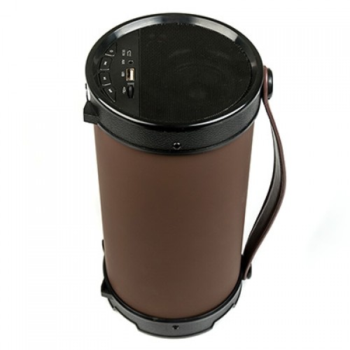 Портативная акустическая система ДИАЛОГ Progressive AP-1000 Bl/USBreader 16W